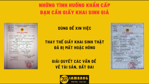 Dịch Vụ Làm Giấy Khai Sinh Giả Uy Tín Với Giá Cả Phải Chăng