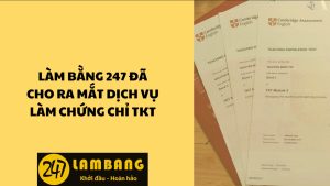 Nhận Làm Chứng Chỉ TKT Giống Thật 100% Tại Làm Bằng 247