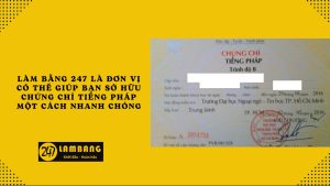 Làm Chứng Chỉ Tiếng Pháp Uy Tín Tại Làm Bằng 247