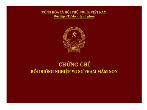 Các dịch vụ làm chứng chỉ sư phạm đang được làm tại Làm Bằng 247