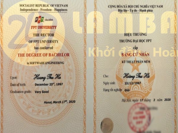 Những ai cần đến dịch vụ làm bằng đại học FPT?