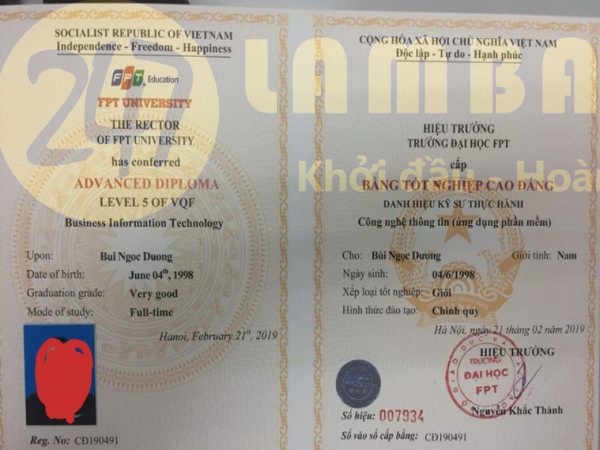 Làm bằng đại học FPT kiểm tra văn bằng online được không?
