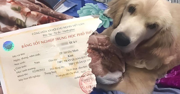 Làm Lại Bằng Cấp 3 Đơn Giản Dễ Hiểu Cùng Làm Bằng 247