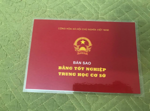 Làm Bằng Cấp 2 Kèm Học Bạ Phôi Thật Làm Bằng 247 Toàn Quốc